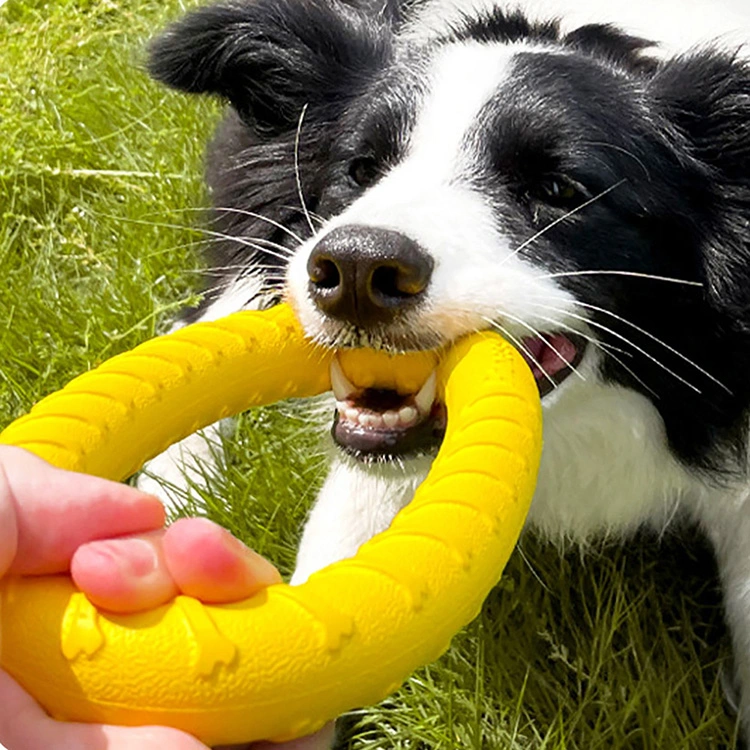 ​EVA-Haustier-Ringspielzeug