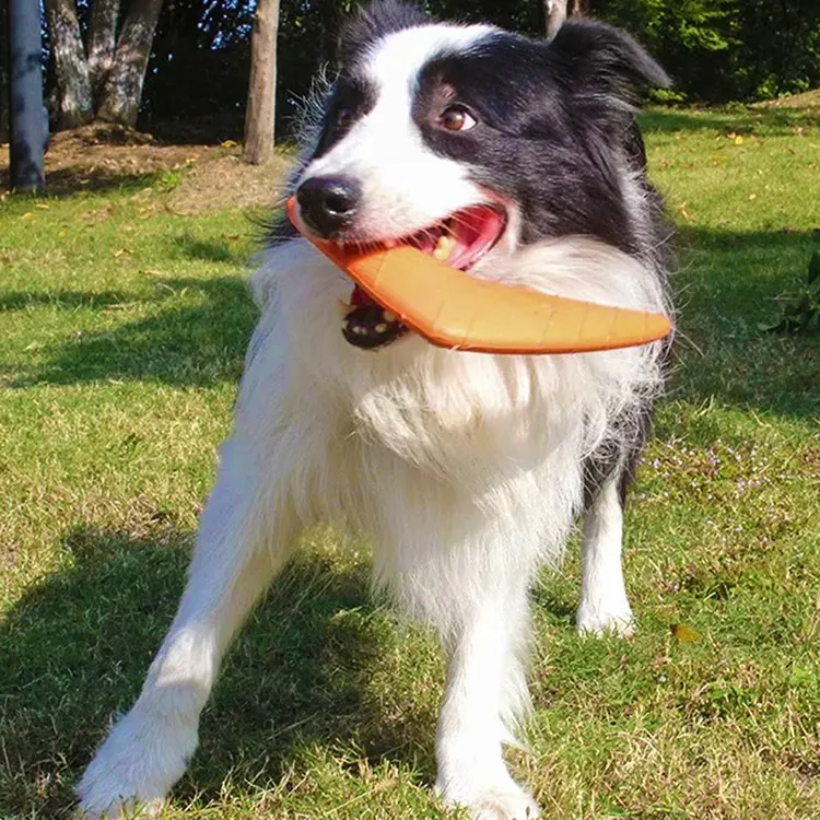 EVA Pet Dart: Ein praktischer Leitfaden zur Auswahl eines sicheren und unterhaltsamen Hundespielzeugs